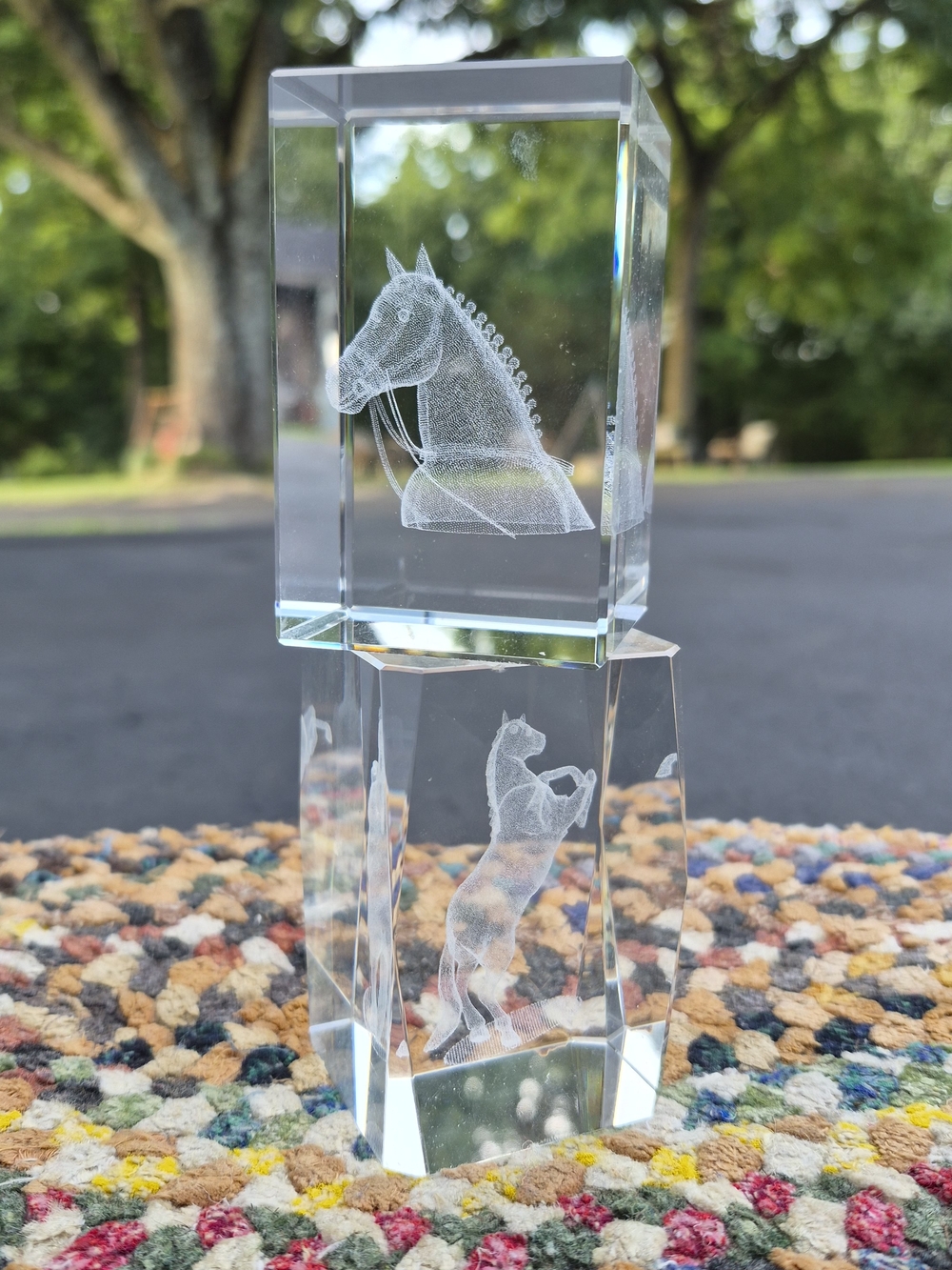 Crystal Horse and Rearing Horse 3D Laser-Engraved Home Art - Clear